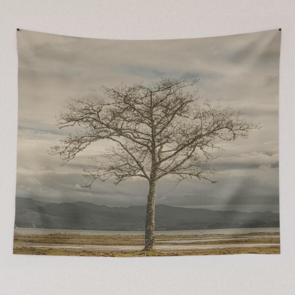 Item preview, Lone Tree - landscape photography tree trees sky blue gray grass ocean adventure hiking love digital designed and sold by travel101.