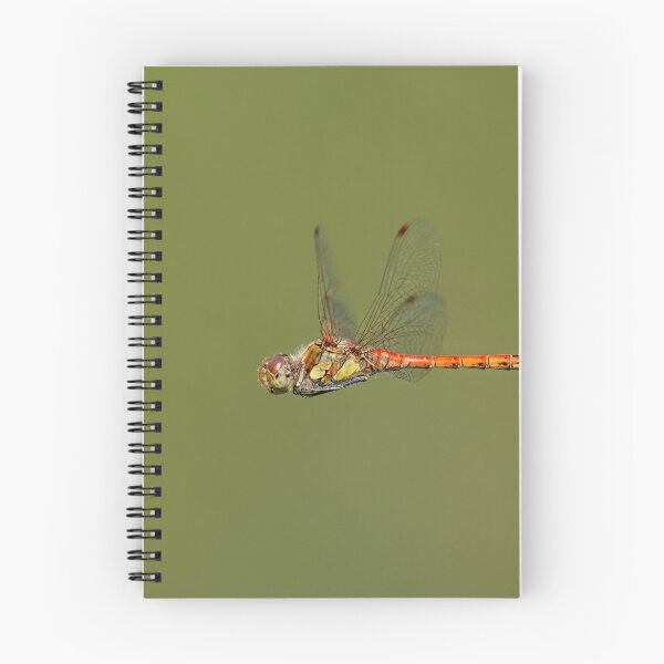Item preview, A common darter dragonfly designed and sold by Stefan Rotter.
