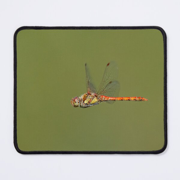 Item preview, A common darter dragonfly designed and sold by Stefan Rotter.
