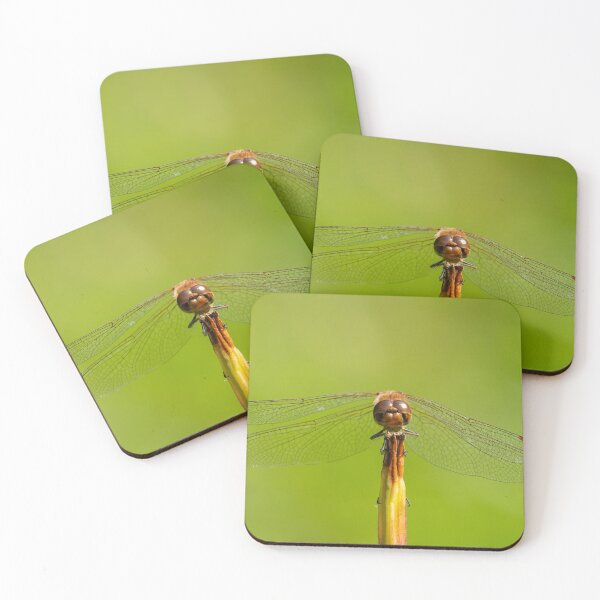 Item preview, A common darter dragonfly designed and sold by Stefan Rotter.