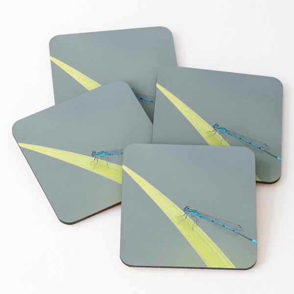 Item preview, An azure damselfly designed and sold by Stefan Rotter.