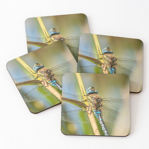 Item preview, A migrant hawker dragonfly designed and sold by Stefan Rotter.
