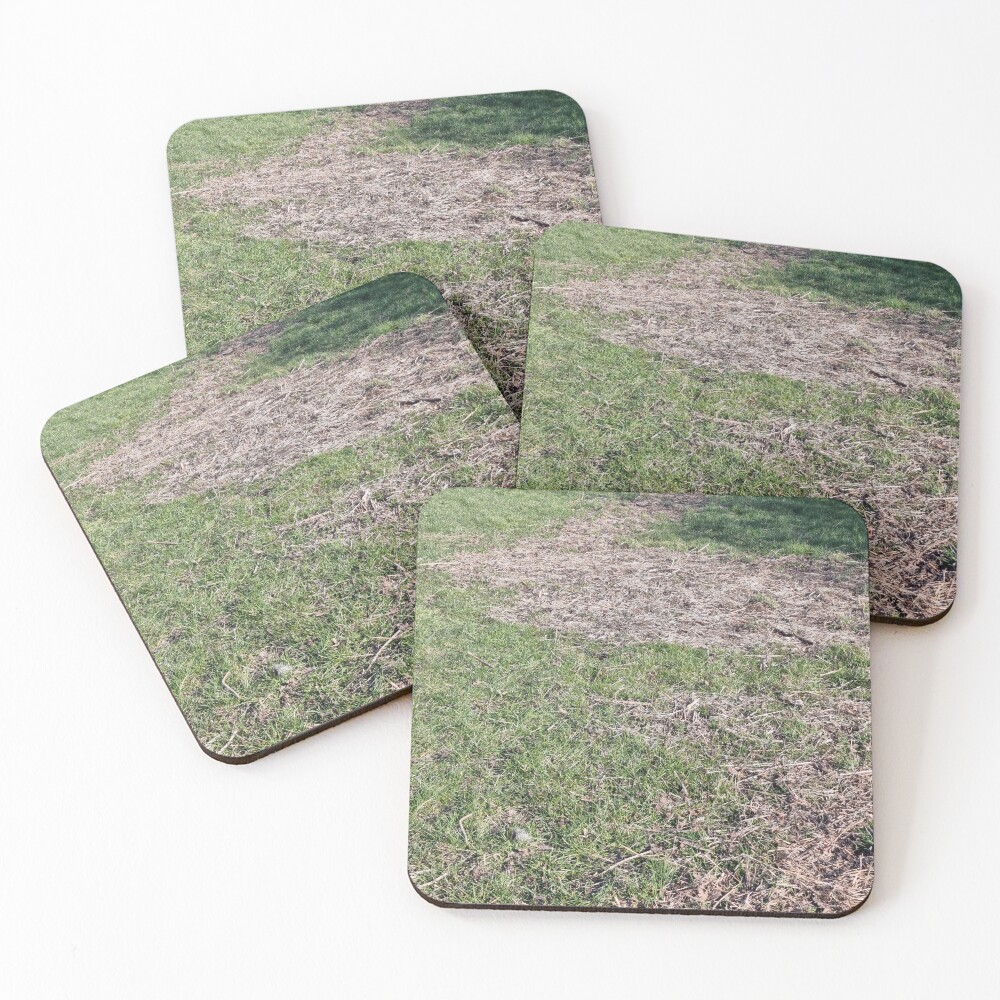 Item preview, Coasters (Set of 4) designed and sold by CreationsofSkye.