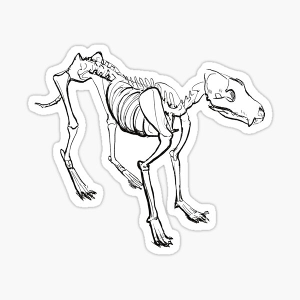 Item preview, skeledog (canine skeleton line art) designed and sold by revioLATE.