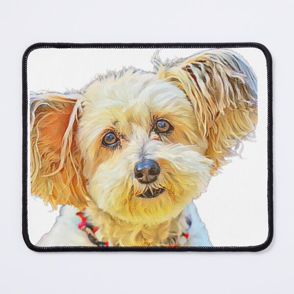Item preview, Pet Dog designed and sold by Gaurav590678.