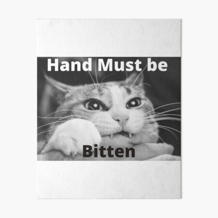 Cat Shitpost meme Art Board Print for Sale by Season's Store