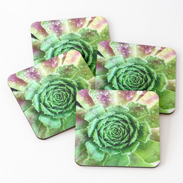 Item preview, Houseleek Plants plant nature designed and sold by alien-punk.