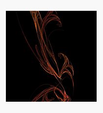 apophysis Photographic Print