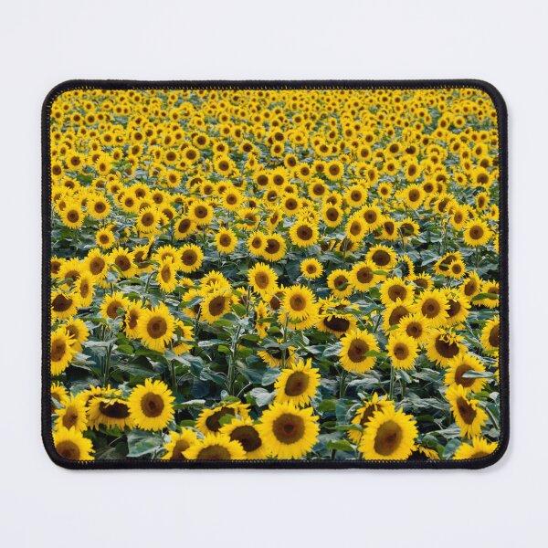 Item preview, Field of Sunflowers Photo designed and sold by Happy-Trails.