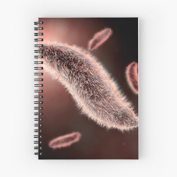 Item preview, STK700417H-Conceptual image of paramecium. designed and sold by StocktrekImages.