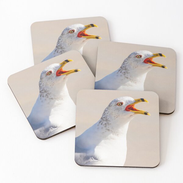 Item preview, Crying Laughing Gull designed and sold by ILD-Photography.