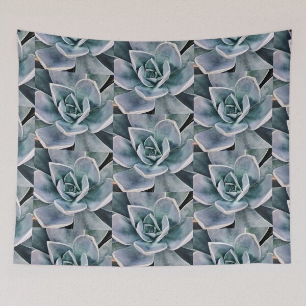 Item preview, Echeveria, Succulent plant designed and sold by Viral-Me.
