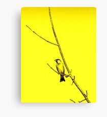 striking bird Canvas Print