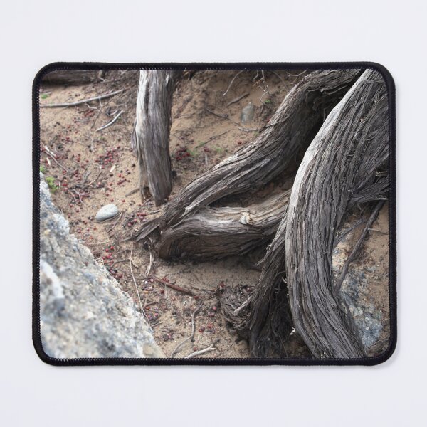 Item preview, Wild roots close up designed and sold by LuminusProject.