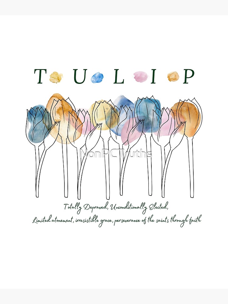 Tulip Calvinist T Shirt Five Points Of Calvinism