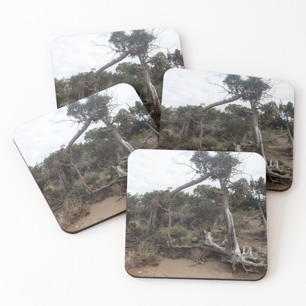 Item preview, Old tree formations at beach designed and sold by LuminusProject.