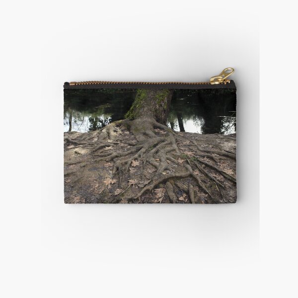 Aperçu de l'œuvre Racines du vieil arbre à côté de la rivière créée et vendue par LuminusProject.