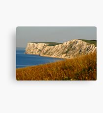 tennyson down Canvas Print