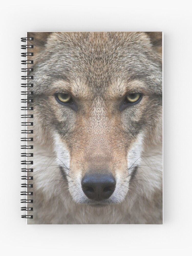 Menacing Wild Wolf Dog Husky Animal Spiral Notebook By Dv Ltd Redbubble