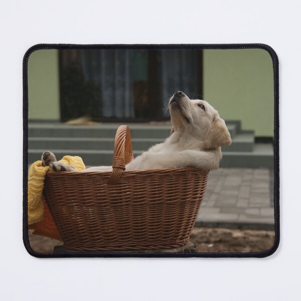 Item preview, Labrador Retriever puppy relaxing designed and sold by newtree.