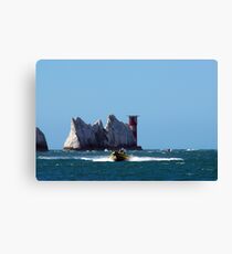 the needles Canvas Print