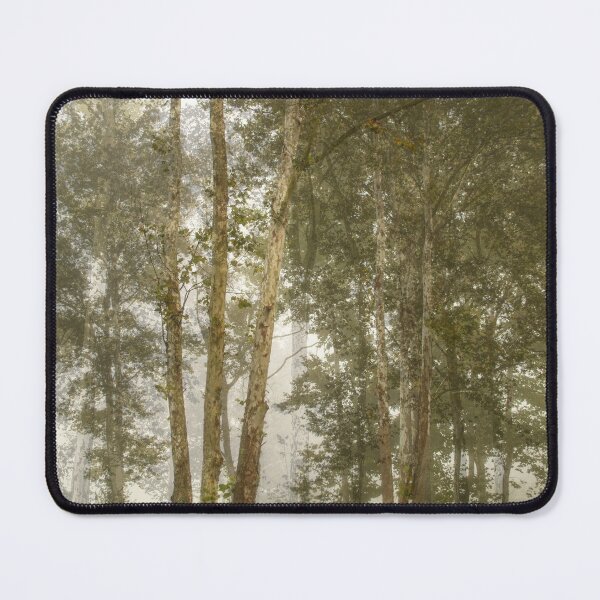 Item preview, Forest Ethereal designed and sold by Susan Nixon.