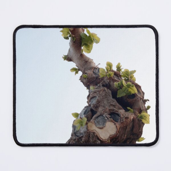 Item preview, regenerate designed and sold by LuminusProject.