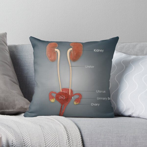 Uterus shaped outlet pillow