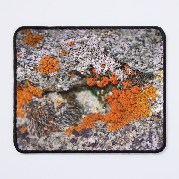 Item preview, Neon in Nature designed and sold by jenstever.