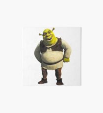 Shrek Art Board
