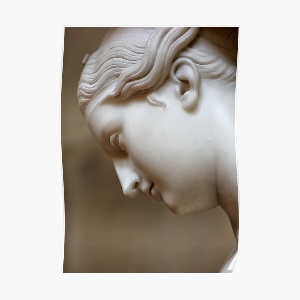 Classical Contemplation Poster