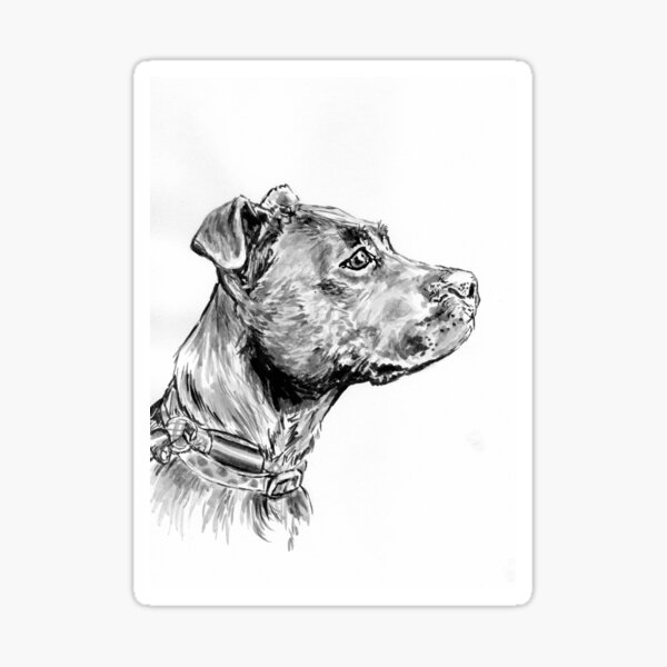Focused Sticker