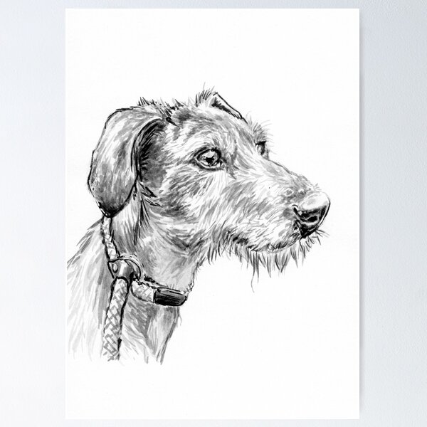 Scruffy Poster