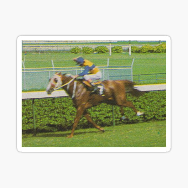 Blur of a Horse Sticker