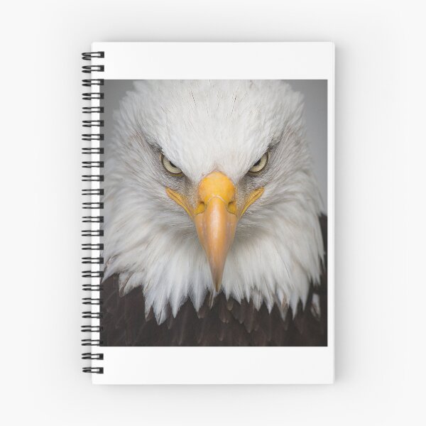 Item preview, Águila designed and sold by Robert-Store.
