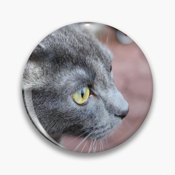 Item preview, Meet Dexter designed and sold by Andie Rey.
