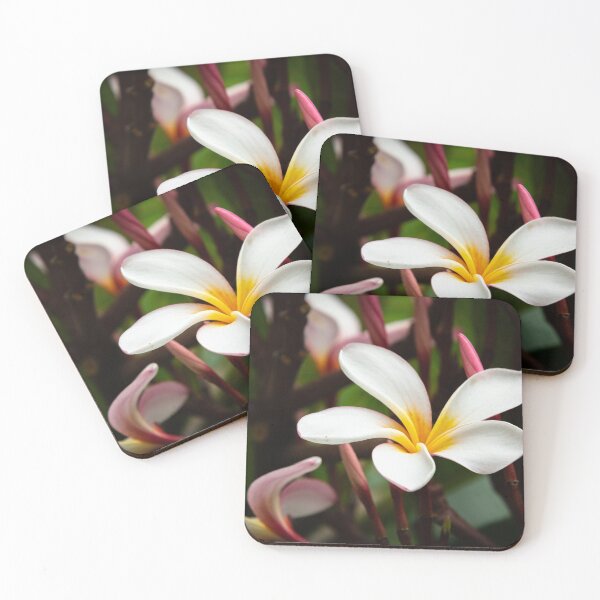 Item preview, Frangipani  designed and sold by Satya Photography.