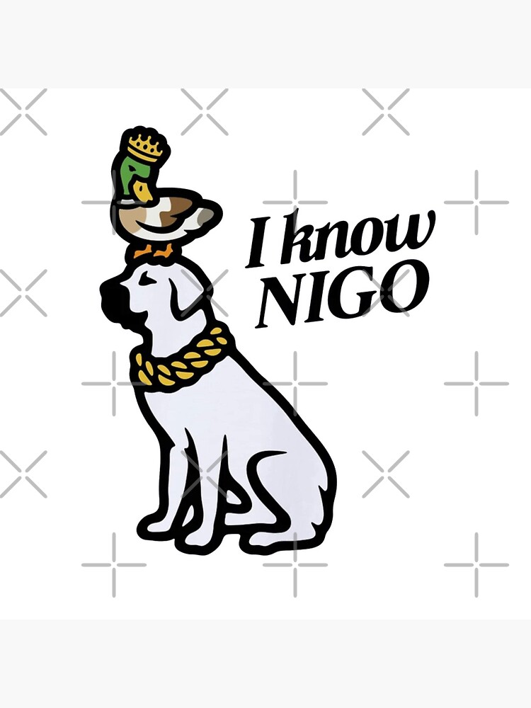 Nigo: I Know NIGO! Album Review