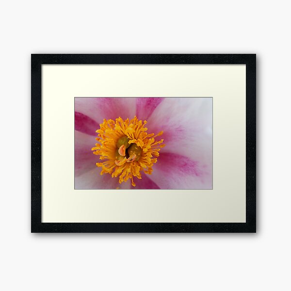 Item preview, Yellow and Pink designed and sold by Randall Talbot.
