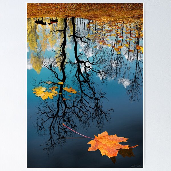 Reflection Poster