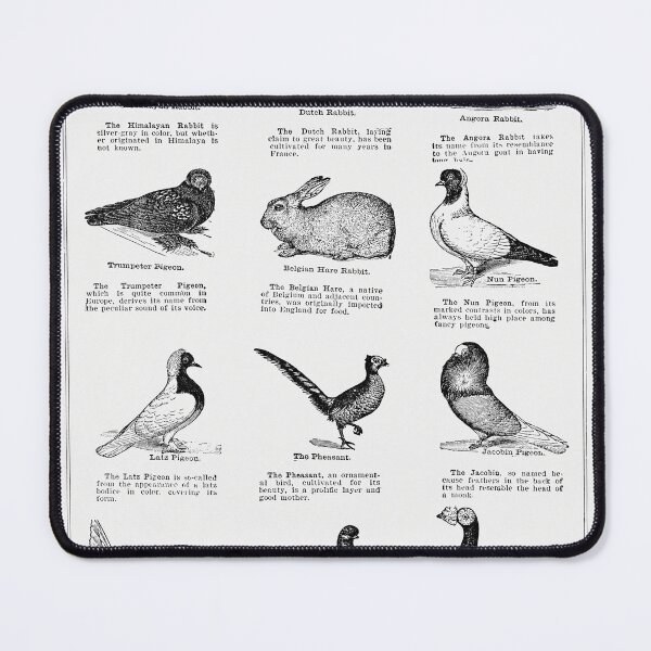 Item preview, Vintage Domestic Pets designed and sold by SuziQPrayers427.