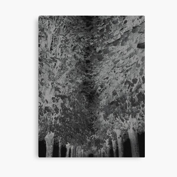 L'allée Impression sur toile