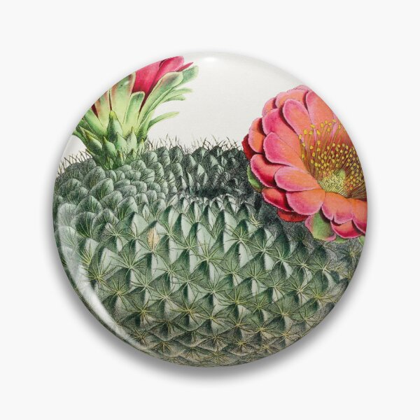 Item preview, Vintage Cactus designed and sold by SuziQPrayers427.