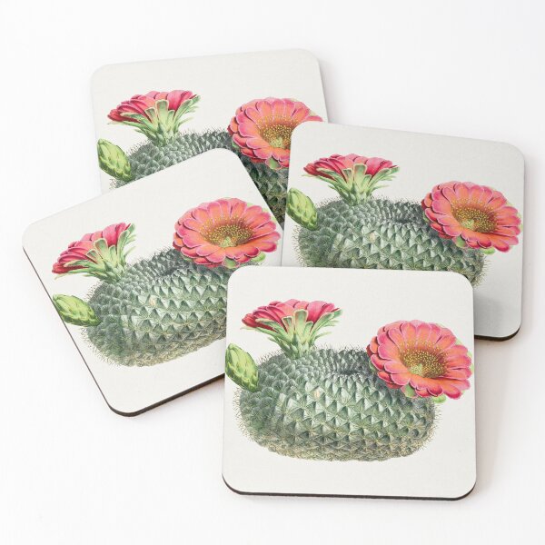 Item preview, Vintage Cactus designed and sold by SuziQPrayers427.
