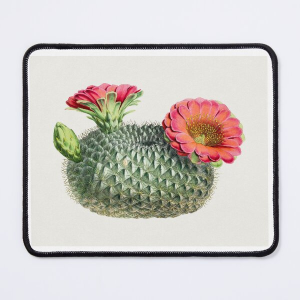 Item preview, Vintage Cactus designed and sold by SuziQPrayers427.