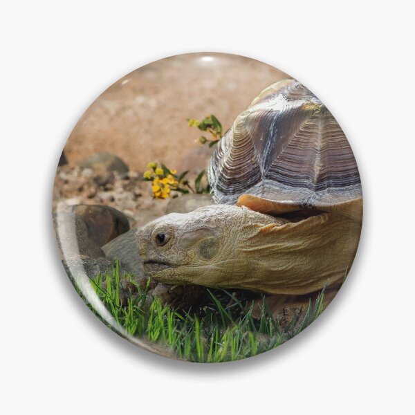 Item preview, Roaming Tortoise designed and sold by heatherfriedman.