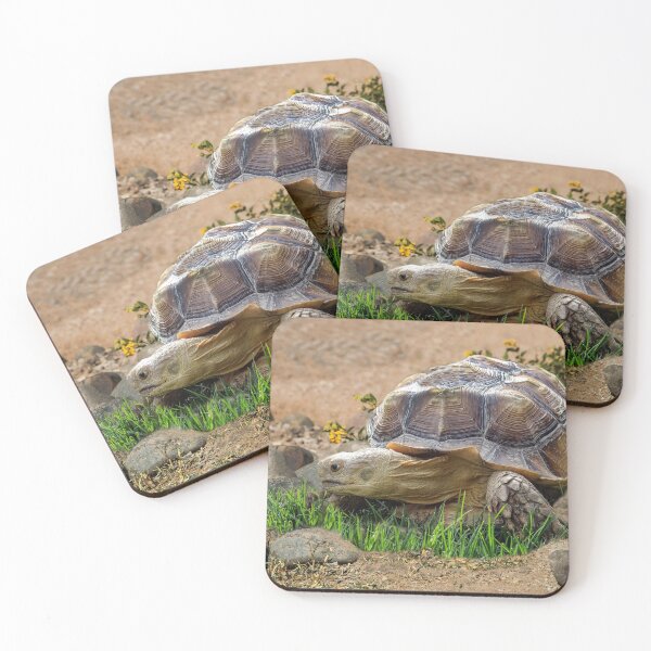 Item preview, Roaming Tortoise designed and sold by heatherfriedman.