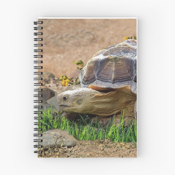 Item preview, Roaming Tortoise designed and sold by heatherfriedman.