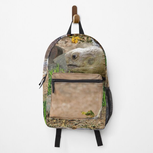 Item preview, Roaming Tortoise designed and sold by heatherfriedman.