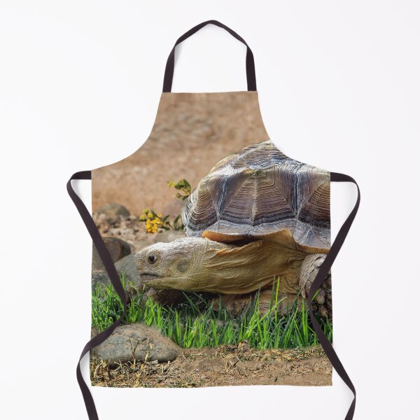 Item preview, Roaming Tortoise designed and sold by heatherfriedman.